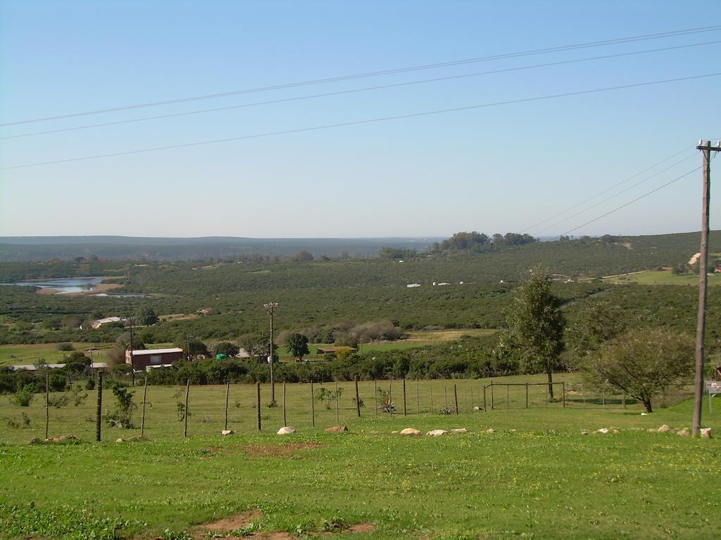 Hotel The Hexagon Wildlife Conservation Uitenhage Zewnętrze zdjęcie